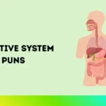 Digestive System Puns