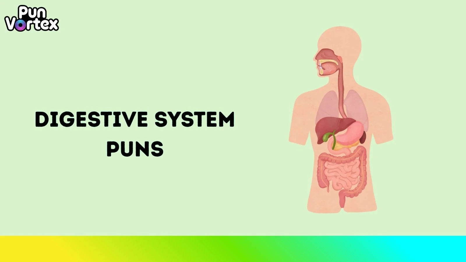 Digestive System Puns