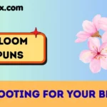 Bloom puns