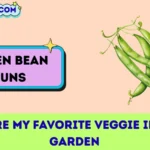 Green Bean Puns
