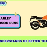 Harley Davidson Puns