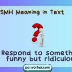 SMH Meaning in Text