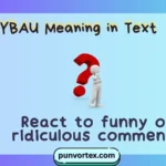 SYBAU Meaning in Text