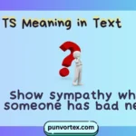 TS Meaning in Text