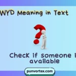 WYD Meaning in Text