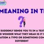 ts meaning in text