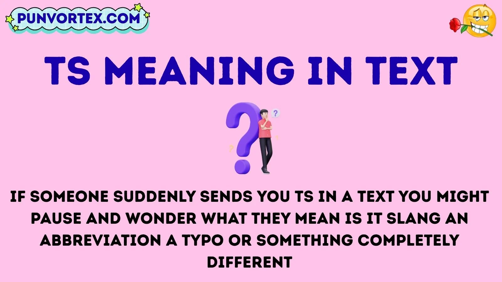 ts meaning in text