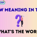 wtw meaning in text