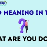 wyd meaning in text