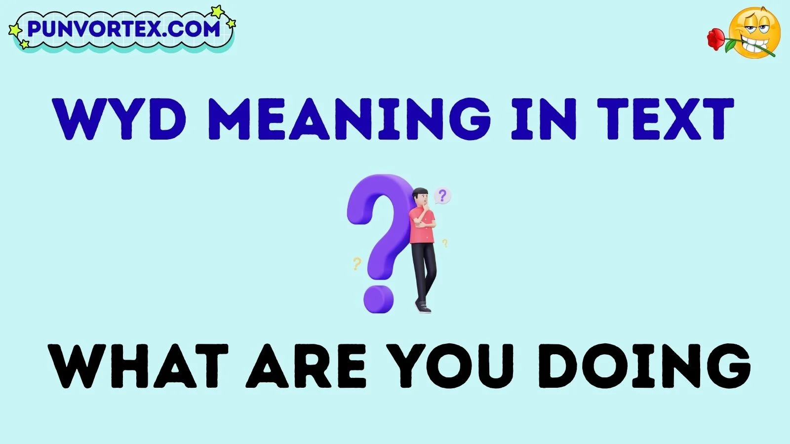 wyd meaning in text