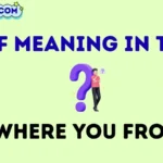 wyf meaning in text